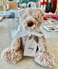 The Teddy bear