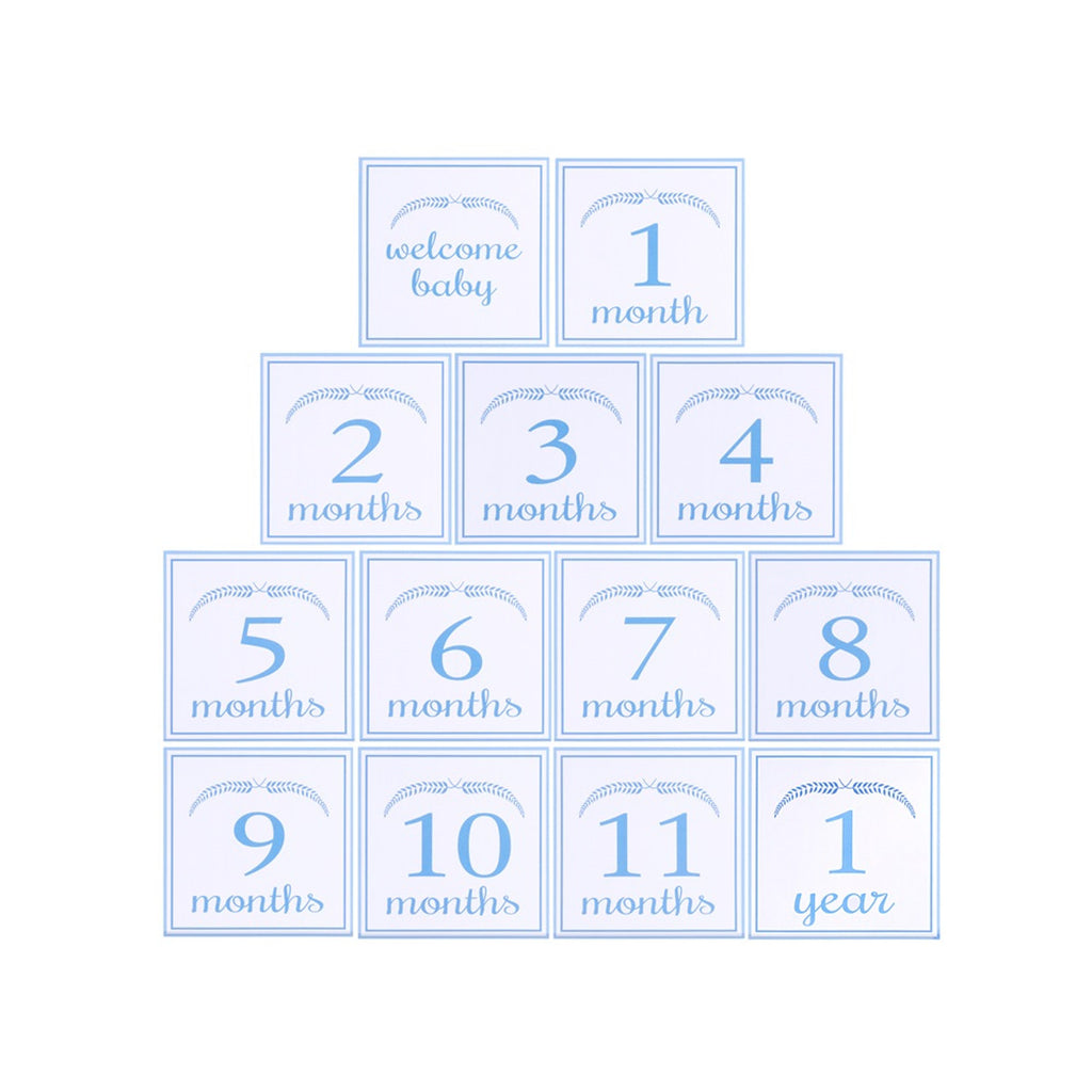 Baby Milestone Card