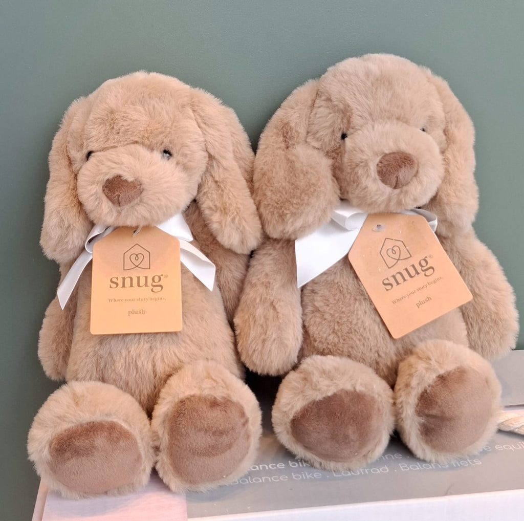 Snug, where your story begins, plus